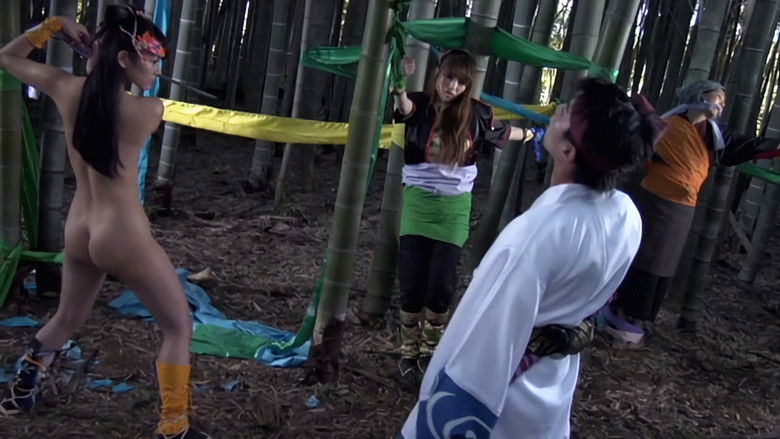 Backdrop image for movie Lady Ninja: Reflections of Darkness