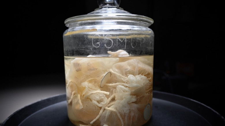 Backdrop image for movie The Man Who Stole Einstein's Brain