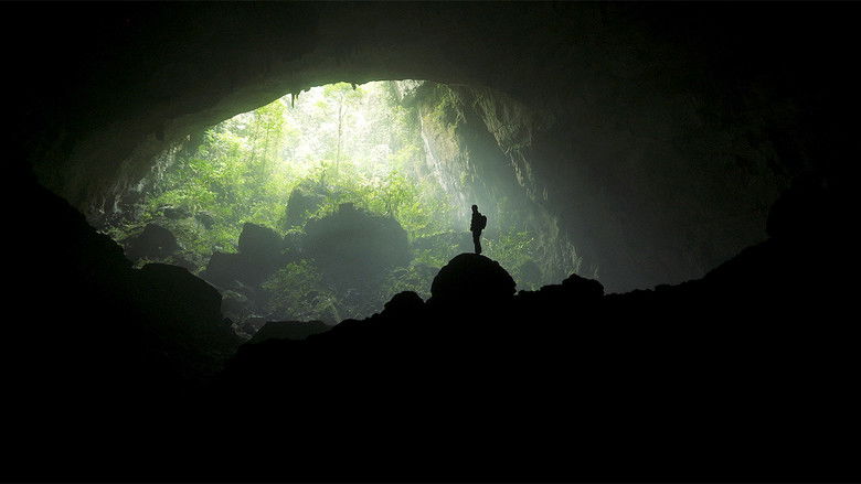 Backdrop image for movie Invisible River