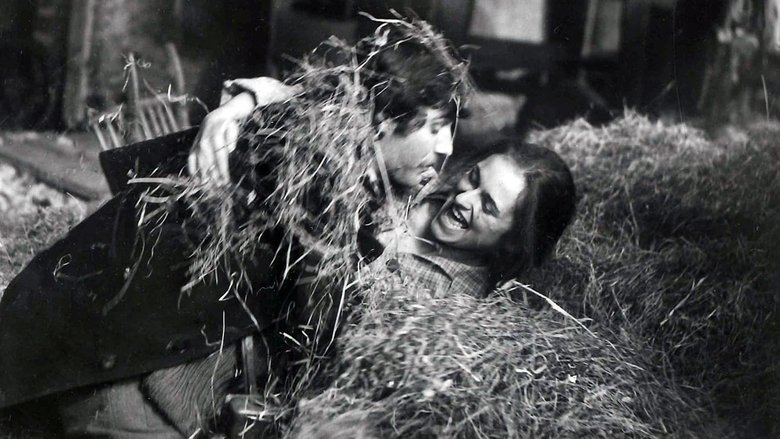 Backdrop image for movie Red Wheat