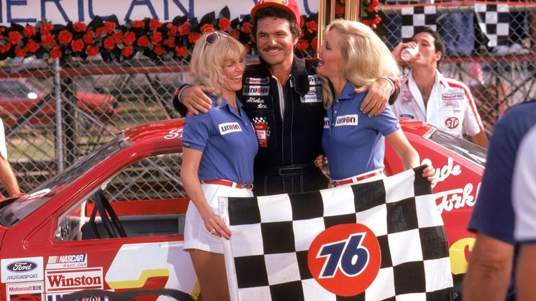 Backdrop image for movie Stroker Ace