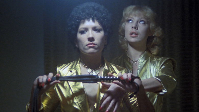 Backdrop image for movie Black Boots, Leather Whip