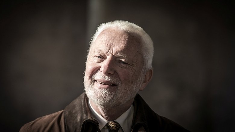 Backdrop image for movie Martin Luther: Pouhou vírou