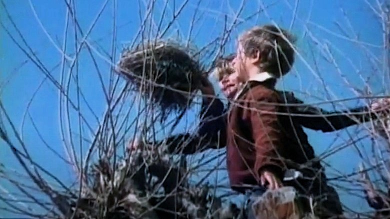 Backdrop image for movie Little Angel, Make Me Happy