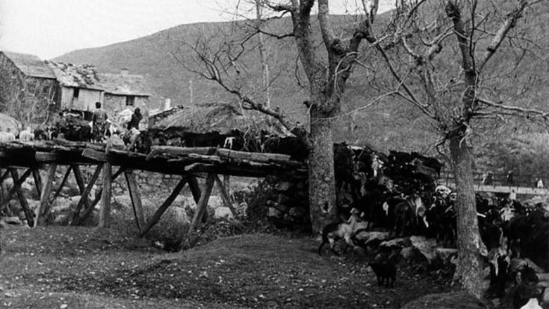Backdrop image for movie Letter of Sanabria
