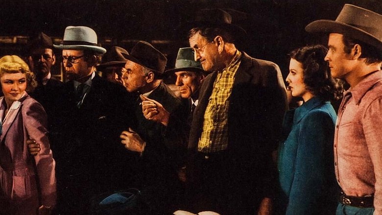 Backdrop image for movie Arkansas Judge