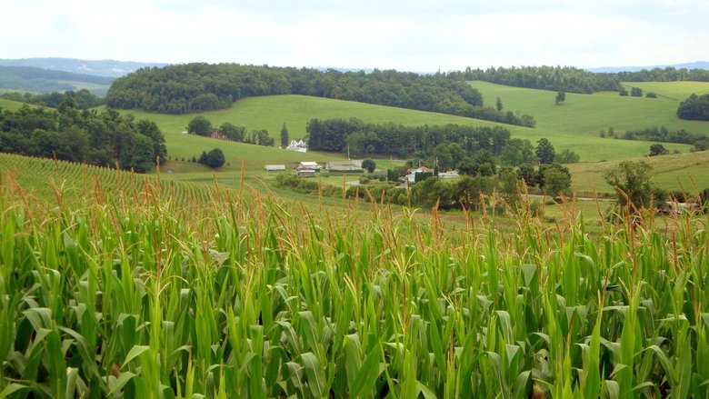 Backdrop image for movie The World According to Monsanto
