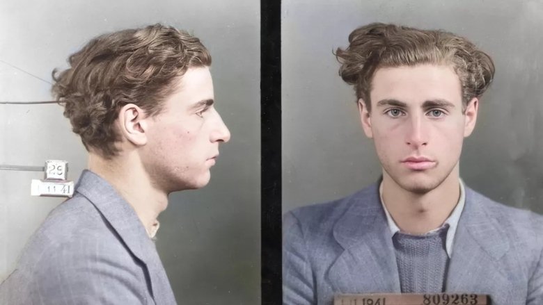 Backdrop image for movie Premiers résistants, seuls contre tous