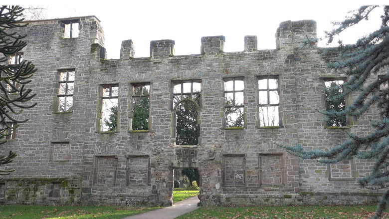 Backdrop image for movie The Coin