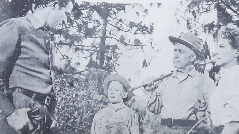 Backdrop image for movie Money, Women and Guns