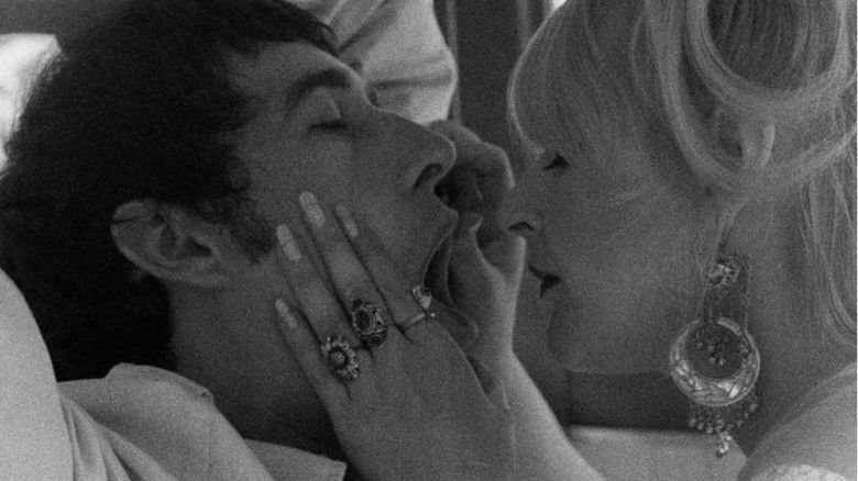 Backdrop image for movie The Bizarre Ones