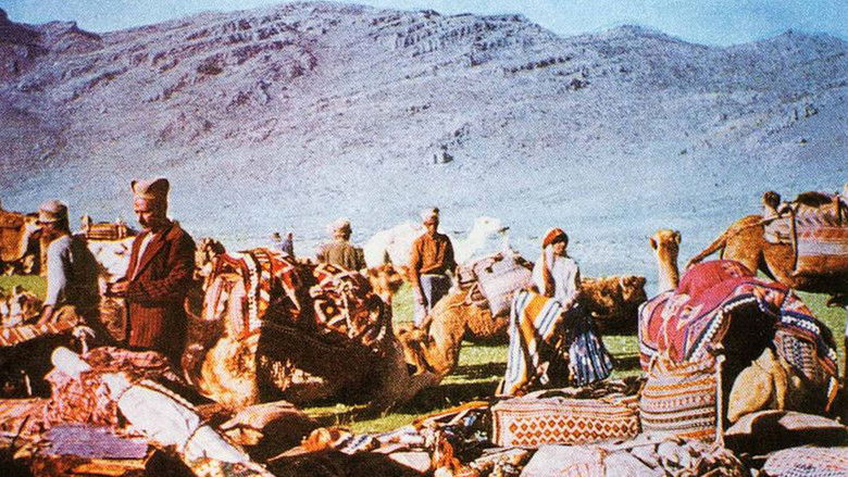 Backdrop image for movie The Kiwi, The Knight and the Qashqai