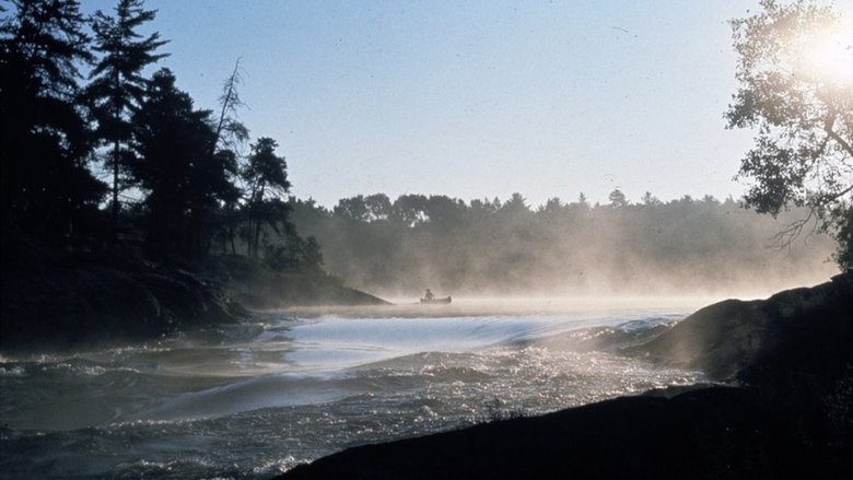 Backdrop image for movie Path of the Paddle: Solo Basic
