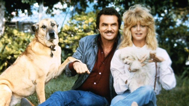 Backdrop image for movie Best Friends