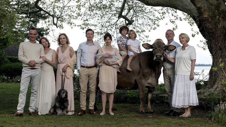 Backdrop image for movie My Wonderful Wanda
