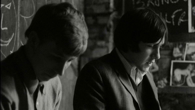 Backdrop image for movie Bronco Bullfrog