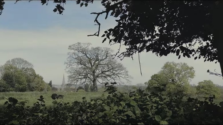 Backdrop image for movie Passing Time