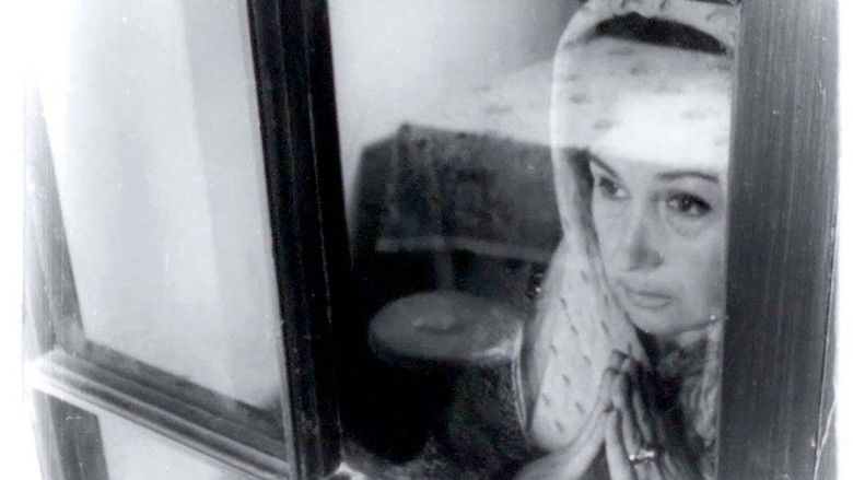 Backdrop image for movie The Tango of the Widower and Its Distorting Mirror