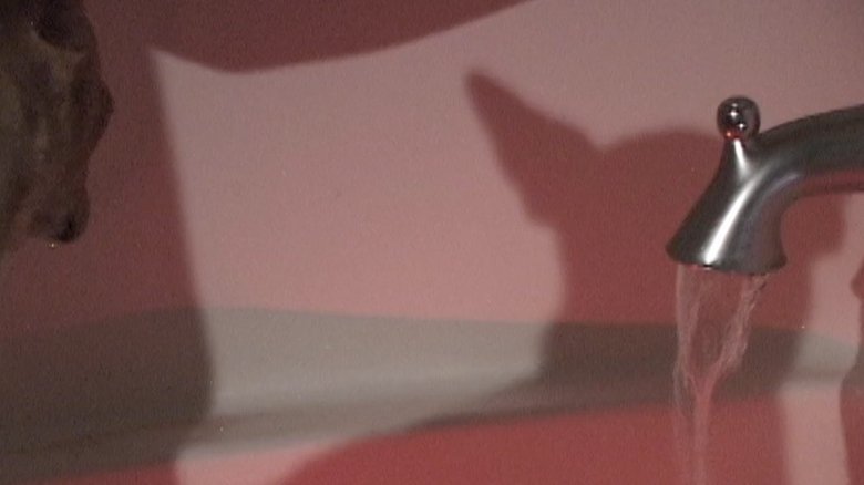Backdrop image for movie Tidal Dance
