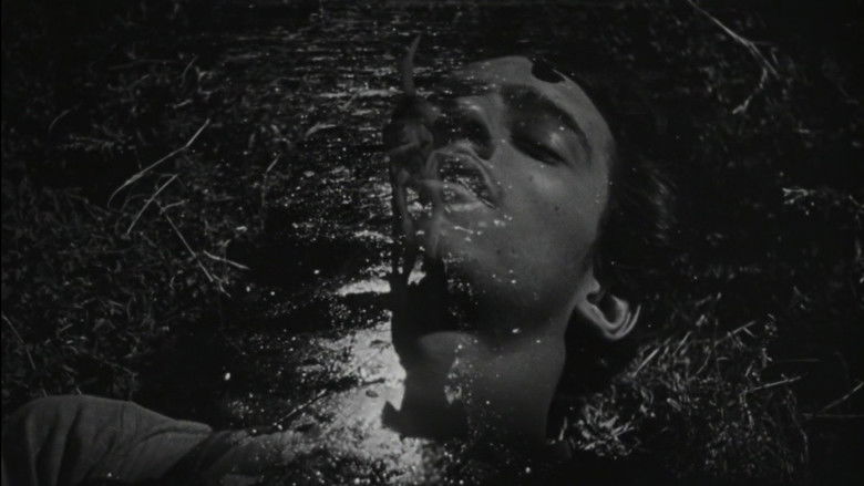 Backdrop image for movie The Young and the Damned