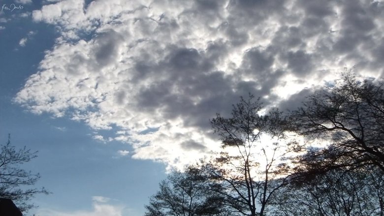 Backdrop image for movie Clouds and Trees