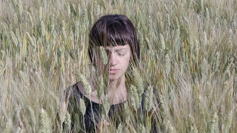 Backdrop image for movie Three-Step Dance