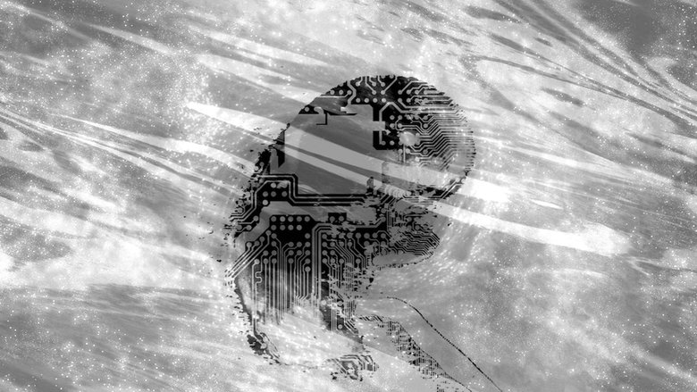Backdrop image for movie Anthropic Principle