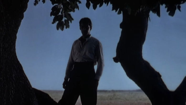 Backdrop image for movie Way of a Gaucho