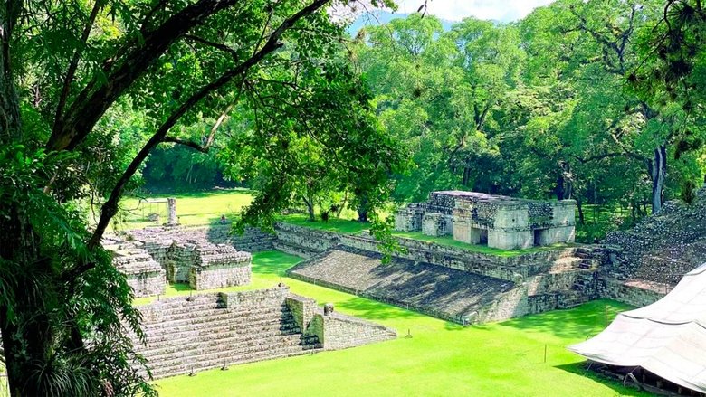 Backdrop image for movie Fall Of The Maya Kings