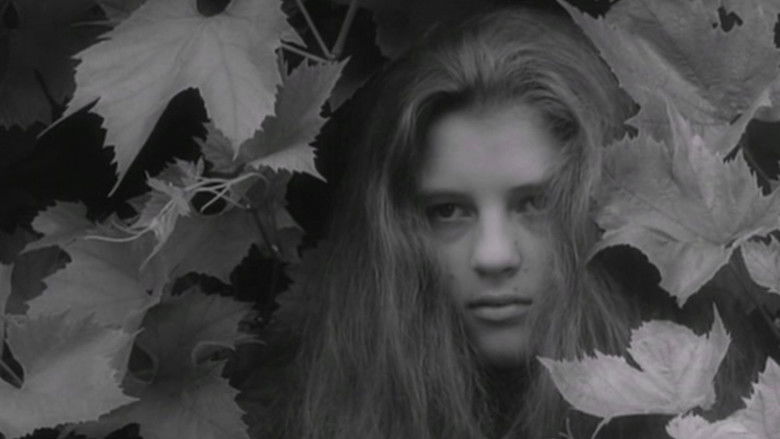 Backdrop image for movie Alice in Wonderland