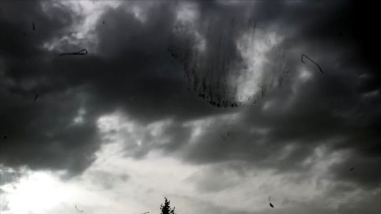 Backdrop image for movie Variations on Iserois Landscapes