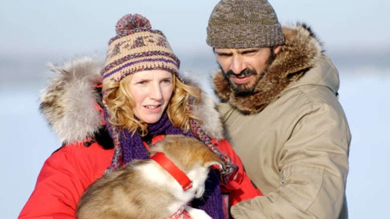 Backdrop image for movie Romaine 30° Below