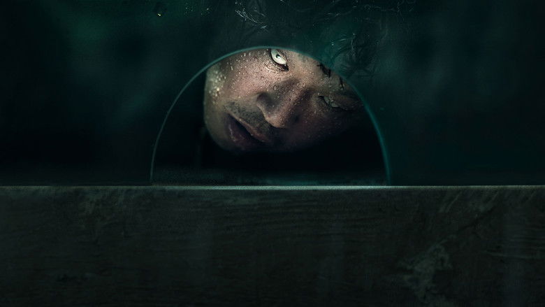 Backdrop image for movie The 8th Night