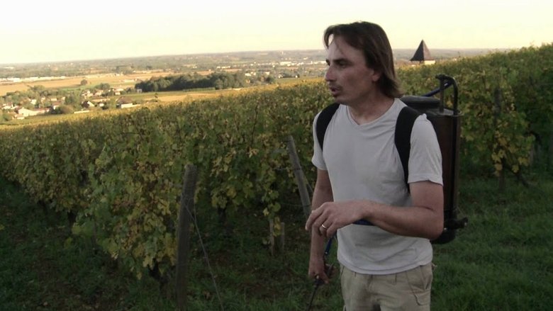 Backdrop image for movie La Clef des Terroirs