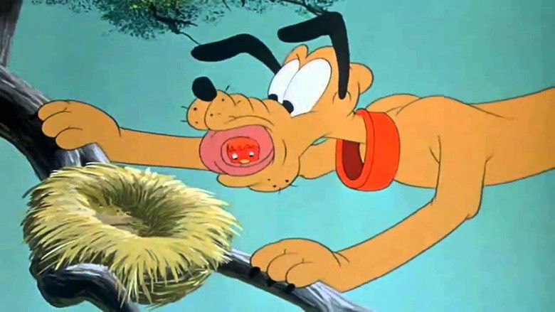 Backdrop image for movie Pluto's Fledgling