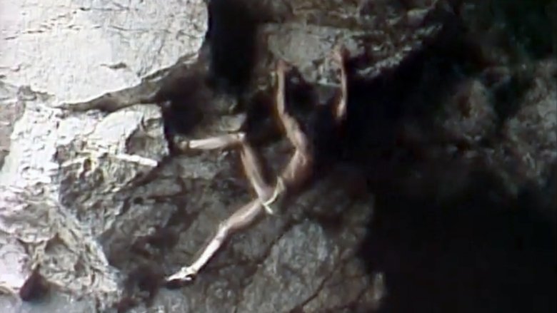 Backdrop image for movie Metamorfosi