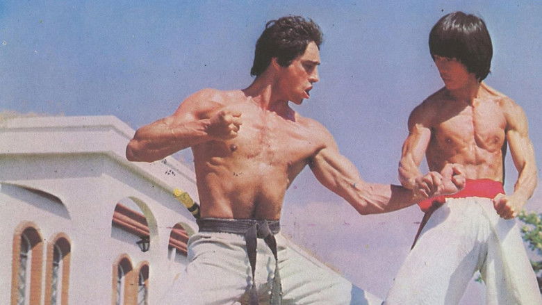 Backdrop image for movie Bruce's Fists Of Vengeance