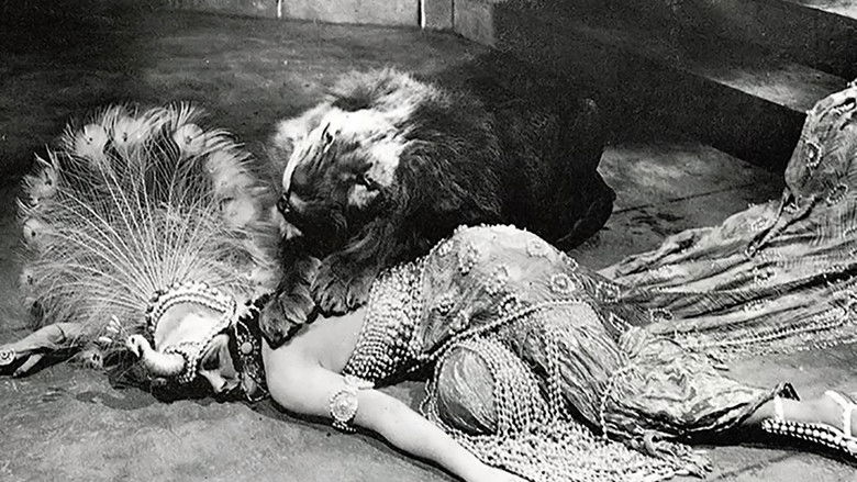 Backdrop image for movie Male and Female