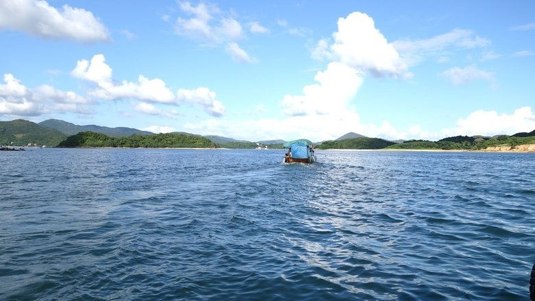 Backdrop image for movie The Sea Within