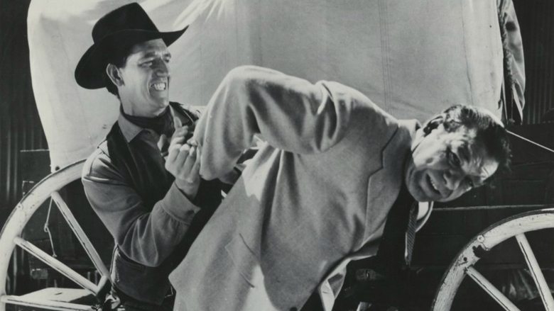 Backdrop image for movie The Silver Star