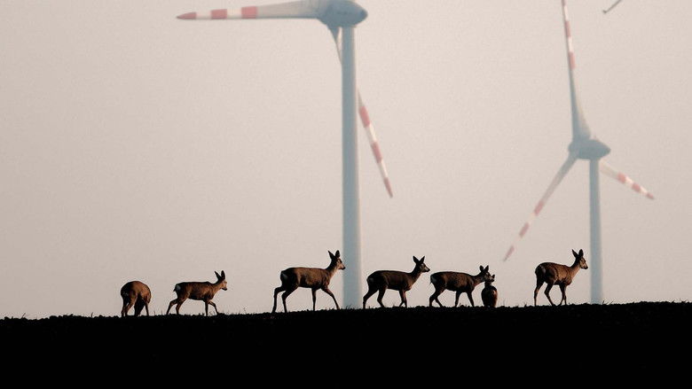 Backdrop image for movie Wildnis 2.0 - Die Tierwelt auf Umwegen