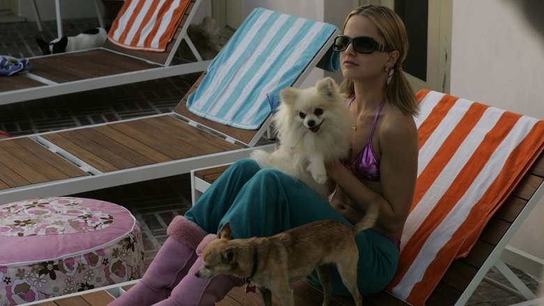 Backdrop image for movie The Dog Problem