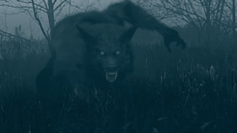 Backdrop image for movie The Bray Road Beast