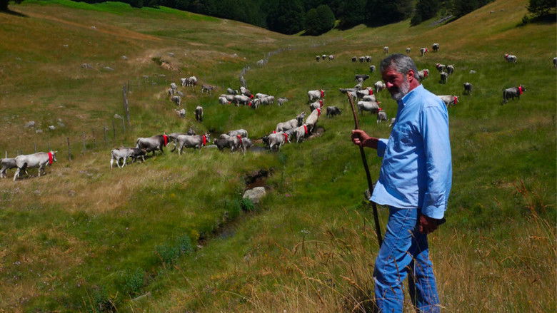 Backdrop image for movie Figli del Minotauro / Storie di Uomini e Animali