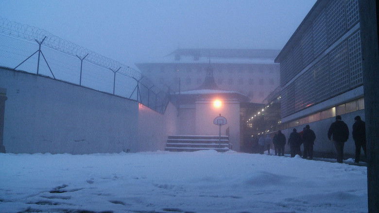 Backdrop image for movie Thorberg