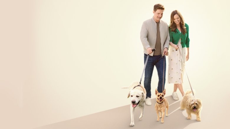Backdrop image for movie The More Love Grows
