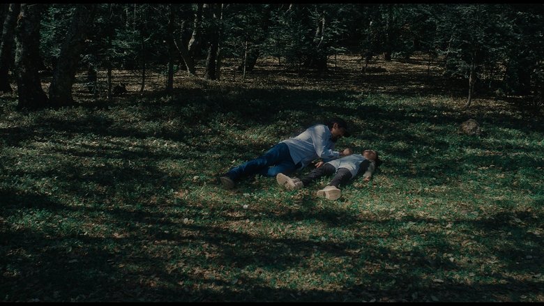 Backdrop image for movie Old Well