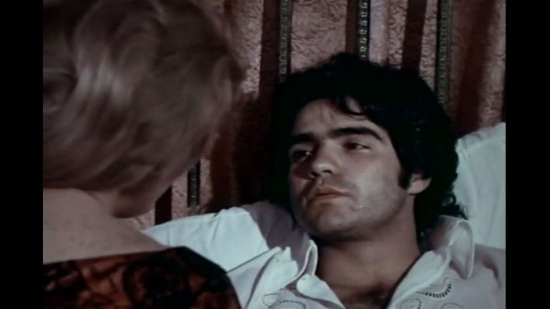 Backdrop image for movie The Cubs