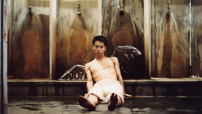 Backdrop image for movie Angel in the Toilet