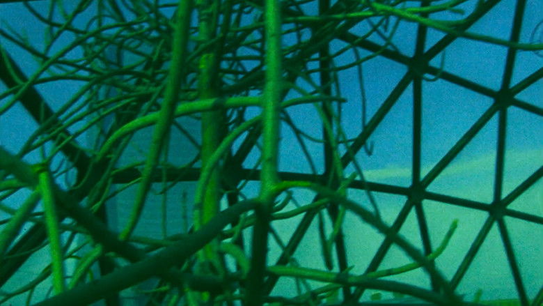 Backdrop image for movie Ornette: Made in America